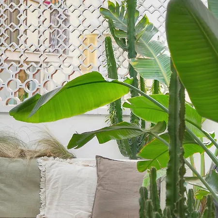 Le Trendee - Loft Atypique 아파트 칸느